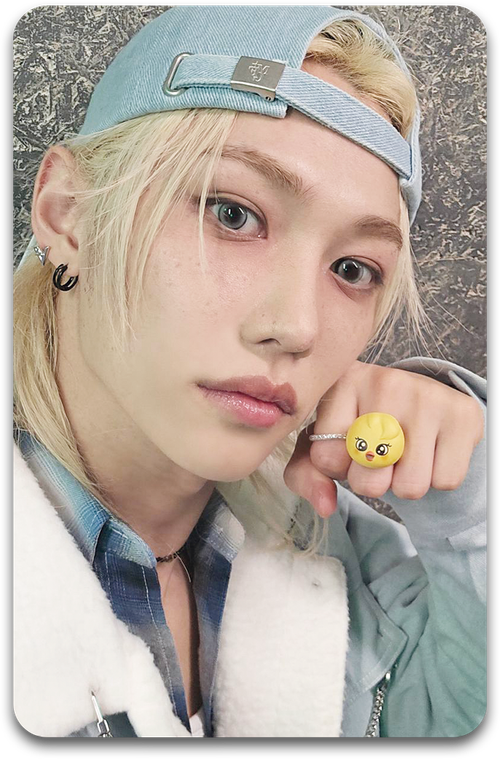 Карта / STRAY KIDS #1993