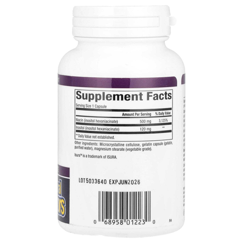 Natural Factors, ниацин, без приливов, 500 мг, 90 капсул