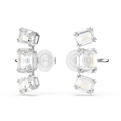 MILLENIA:CE CRYIGNIT/RHS
