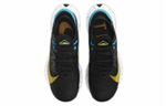 Кроссовки Nike Pegasus Trail 2 Zoom