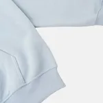 Худи Меч FW23 HD Warm Star Maya Blue