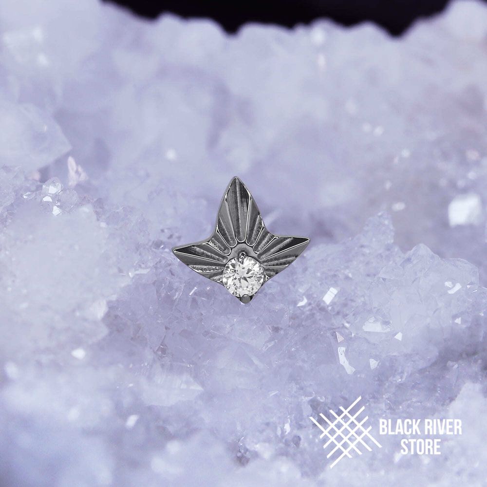 Leaf Geometry &amp; Crystal