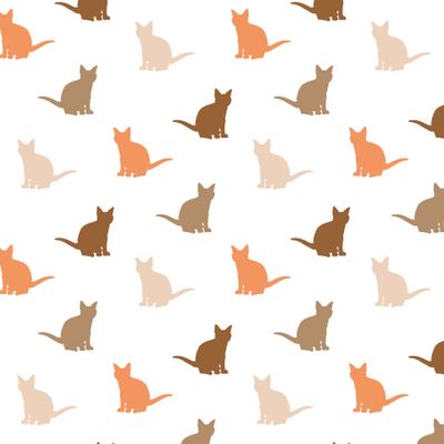 Коты