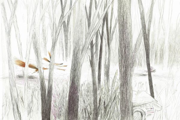 Как поросенок болел леопардозом