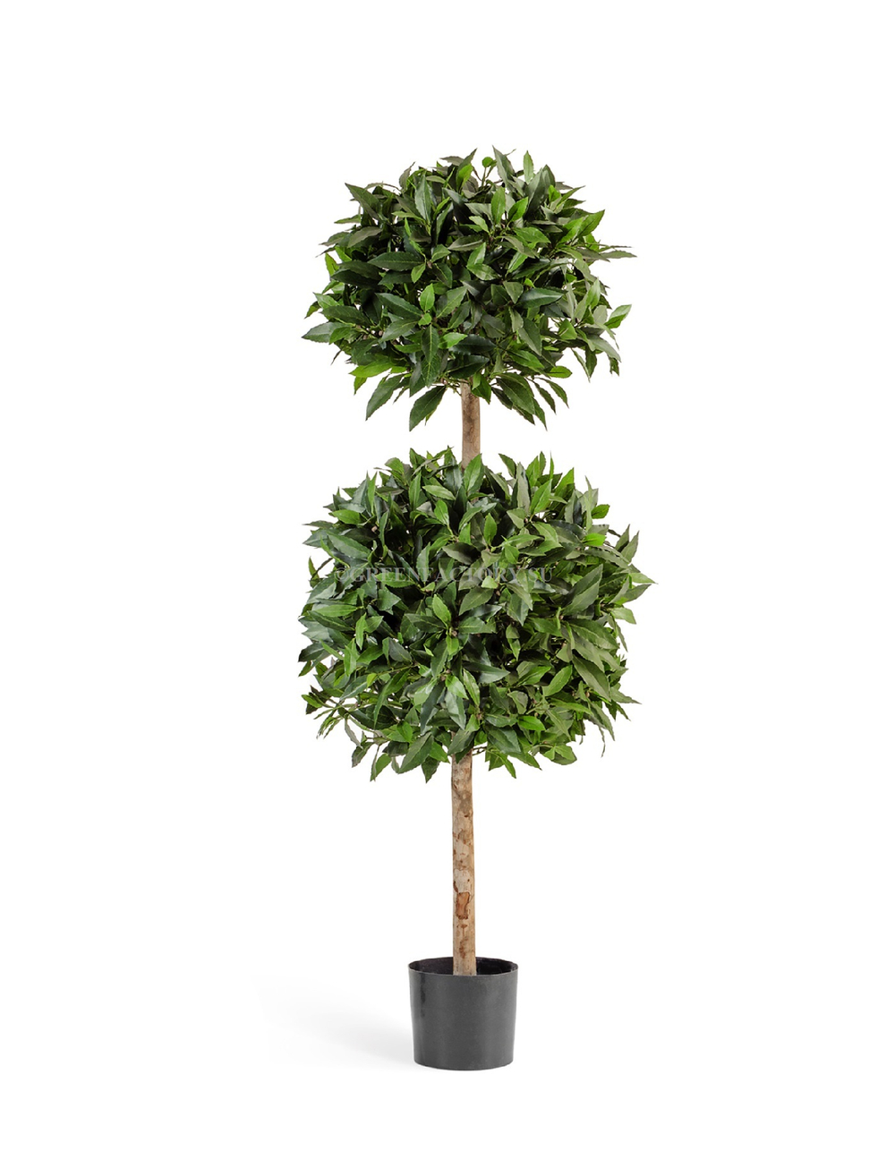 Лавр шар двойной де люкс в-125 см