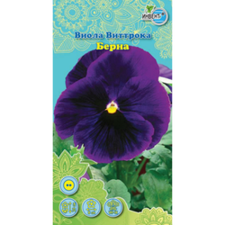 Виола Виттрока Бломез Ивент +