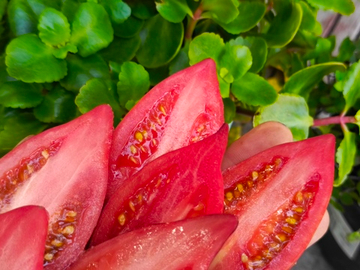 Загадка клубничного водопада сорт томата