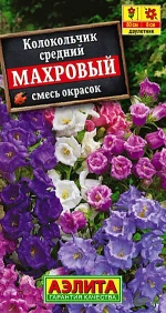 Колокольчик Махровый