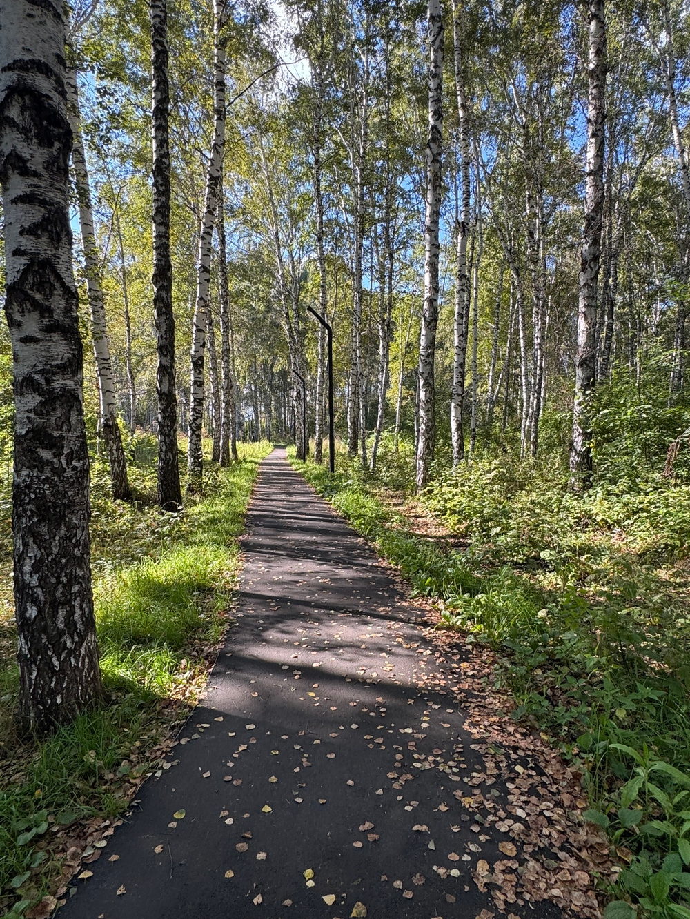 1-комнатная квартира, 30,5 м² / Чистовая отделка