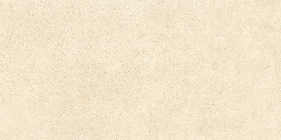 60х120 SandStone Песочный Матовый R10A Ректификат