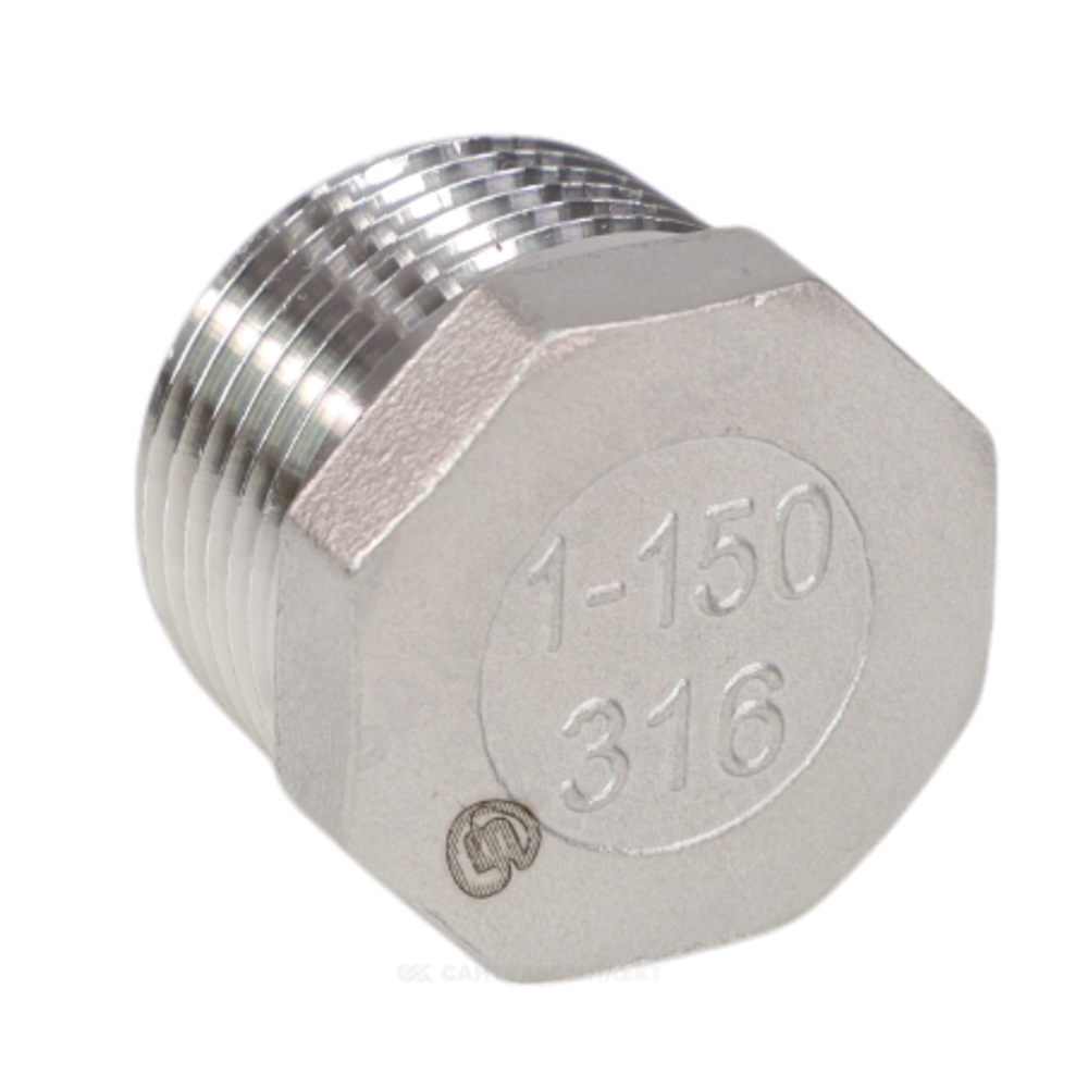 Заглушка сталь нерж Ду 50 (2") НР Benarmo