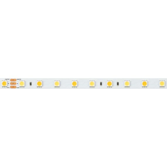 Светодиодная лента Arlight 14,4W/m 60LED/m 5060SMD холодный/теплый белый 5M RT-B60-10mm 24V White-MIX 025213(1)