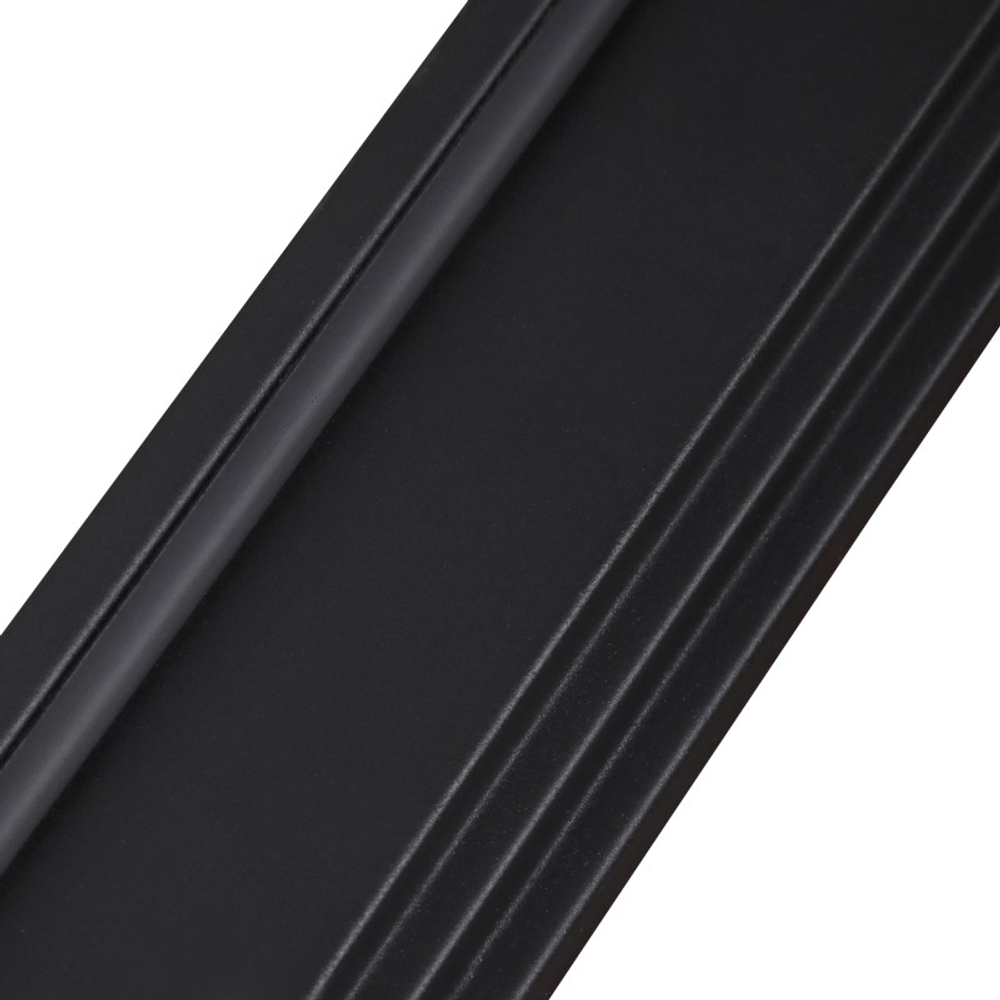 Стальная дверь "Ferrum" с зеркалом (биометрический замок). Заказная модель.