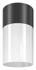 Накладной светильник Maytoni Willis O418CL-01B