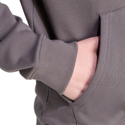 Толстовка мужская adidas Originals TREFOIL HOODY