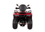 Квадроцикл BIZON YK200 Basic Carb