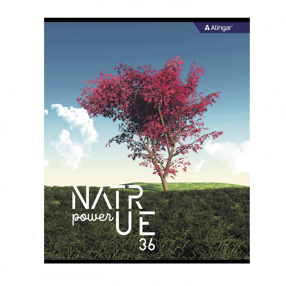 Тетрадь 36 л., А5, клетка, Alingar "Nature power", скрепка, второй блок 60г/м2, мелованный картон (стандарт), 4 дизайна в пленке т/у