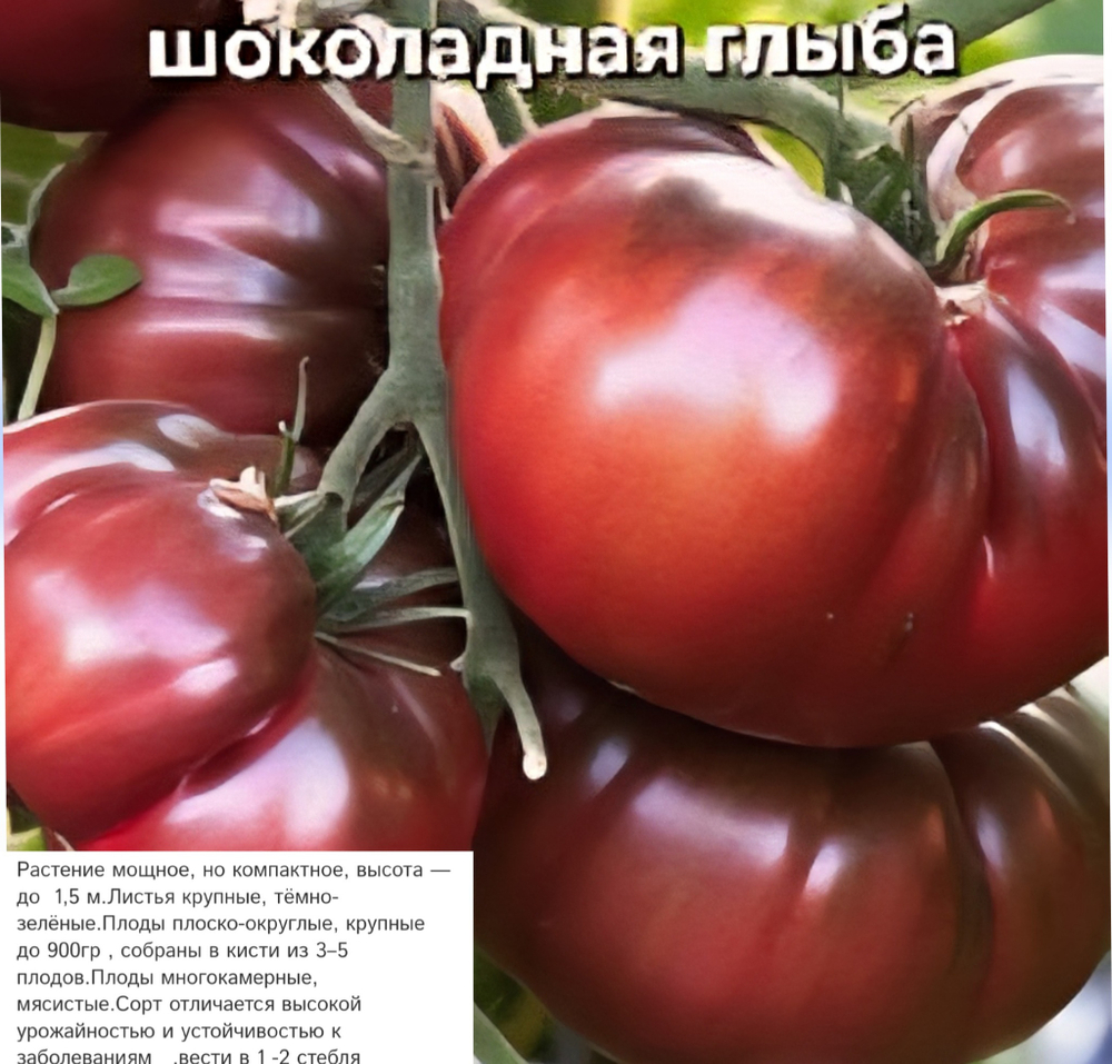 ШОКОЛАДНАЯ ГЛЫБА