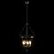 Подвесной светильник Loft It Incense 10455/6 CR