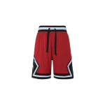 Шорты Jordan Logo, DX1487-687