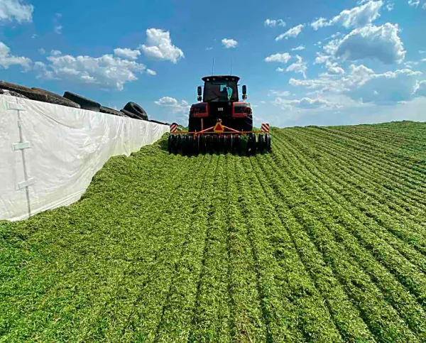 Правильный порядок кормозаготовки (сенаж / силос)