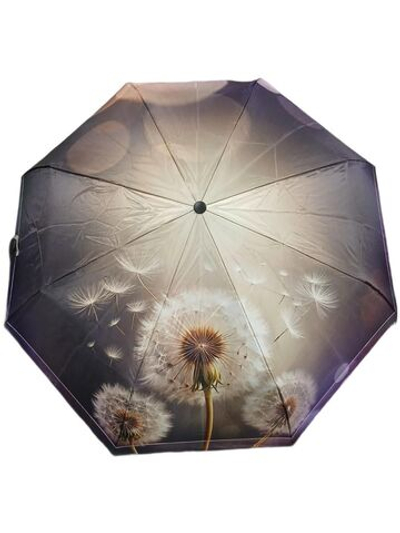 Зонт DINIYA 267