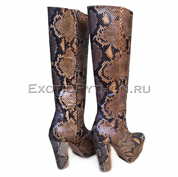 Сапоги из кожи питона SH-113