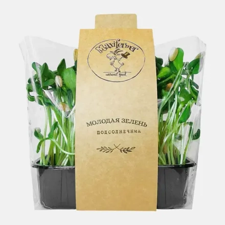 Микрозелень подсолнечника 50г