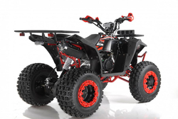 Квадроцикл WELS EVO X2