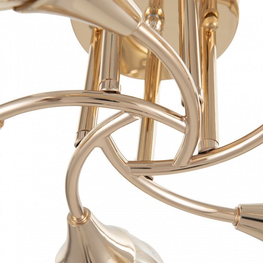 Потолочная люстра Arte Milano Napoli-6366 336366/5 FGD