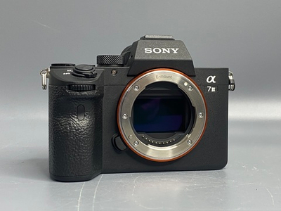 Sony A7 III 16.325 кадров