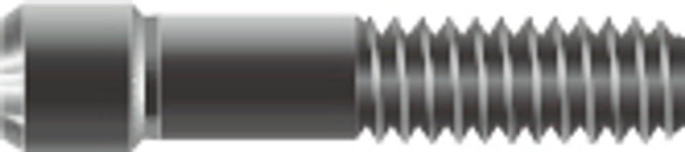 Винты DENTIS