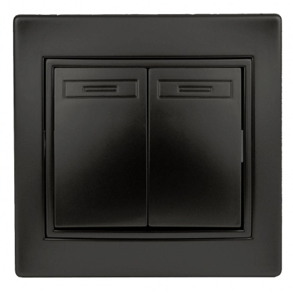 Выключатель Intro Plano 1-104-05 двухклавишный, 10А-250В, IP20, СУ, антрацит