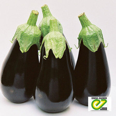 Баклажан Блэк перл F1