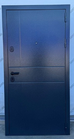 Дверь входная Дели