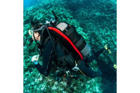 Жилет компенсатор BCD Seac Modular Оne size Тип-крыло черный