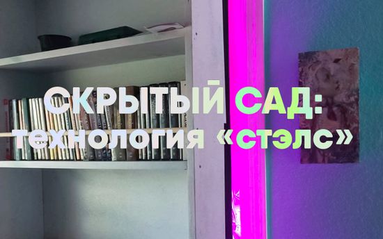 Скрытый сад: технология «стэлс»