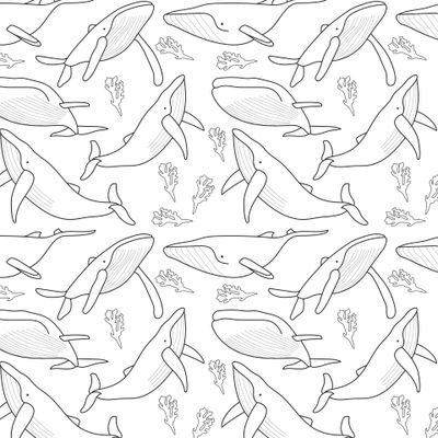 Киты на белом фоне. Морское дно. Кит.