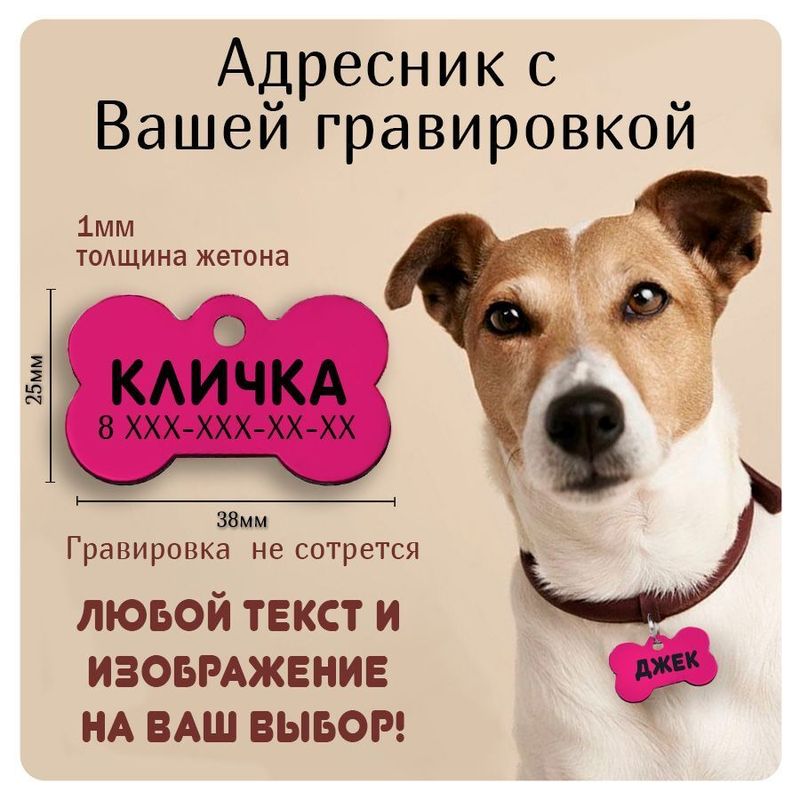 Адресник медальон для животных с адресом