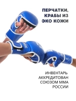 Перчатки для ММА Rage Союз ММА России экокожа синий