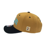 Баскетбольная кепка Mitchell&Ness Vancouver Grizzlies Team Arch -