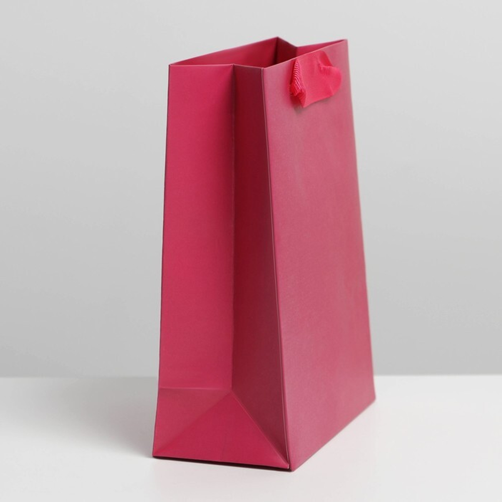 Пакет подарочный ламинированный, упаковка, «Фуксия», S 12 х 15 х 5.5 см