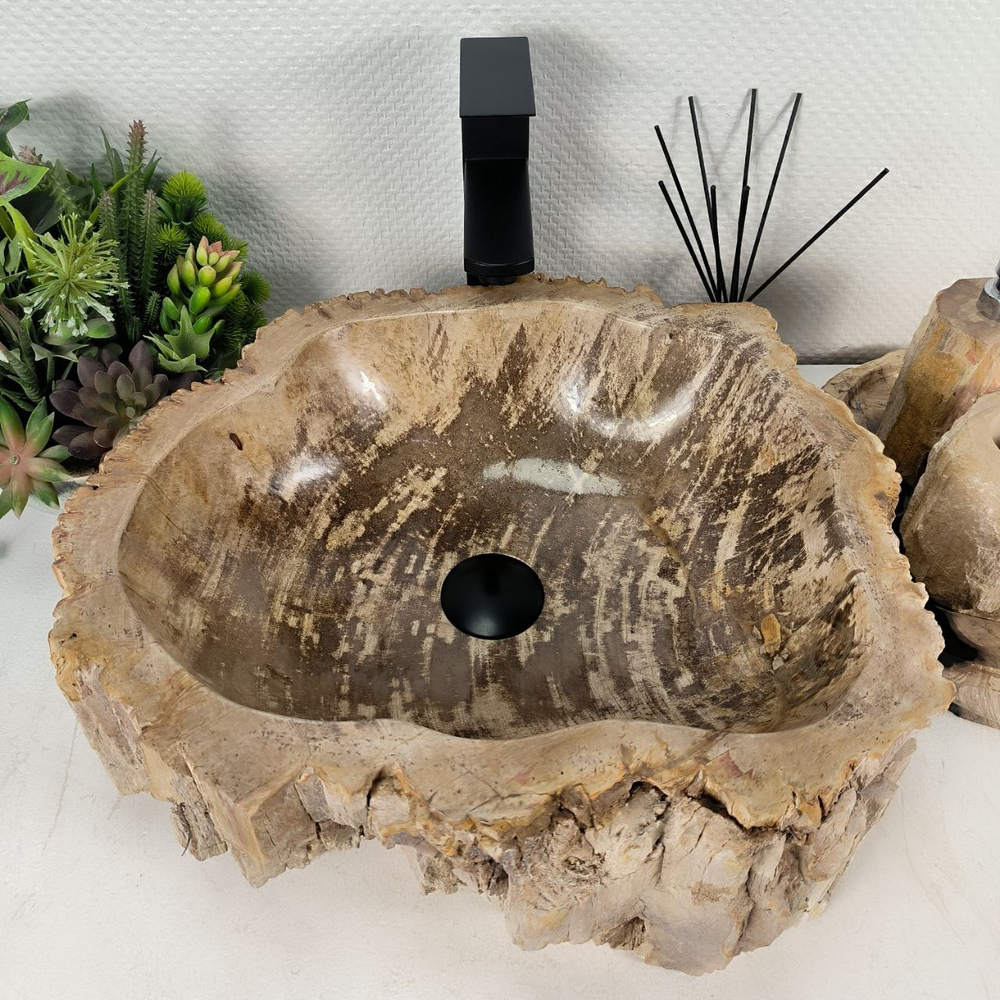 Раковина из окаменелого дерева OD-64564 46*42*16 0176