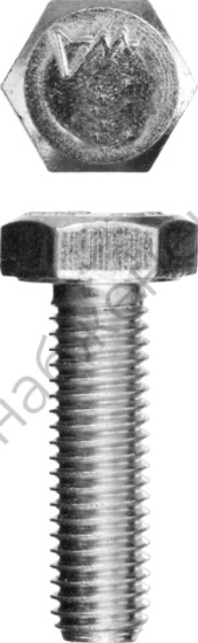 ЗУБР ГОСТ 7798-70 кл. пр. 5.8, M8 x 16 мм, болт оцинкованный, 5 кг (303080-08-016)