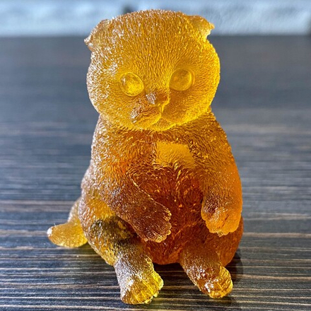 Кот забавно сидит