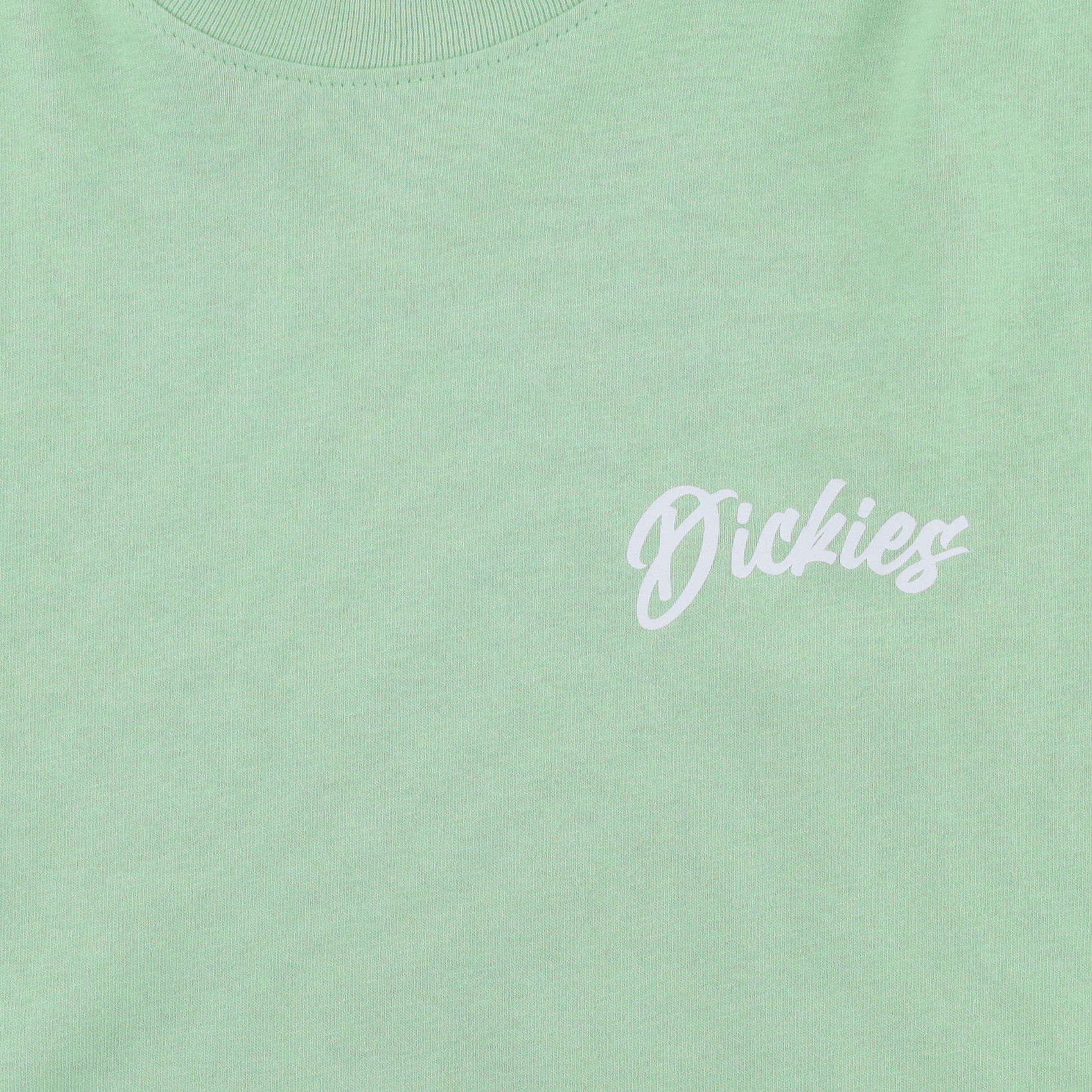 Футболка Dickies Dighton Graphic T-Shirt (quiet green) артикул:WSR19QG2 - купить в магазине Дайс