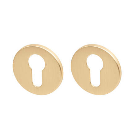 Накладка Armadillo (Армадилло) под цилиндр ET.R.YM FSG-39 флор. золото