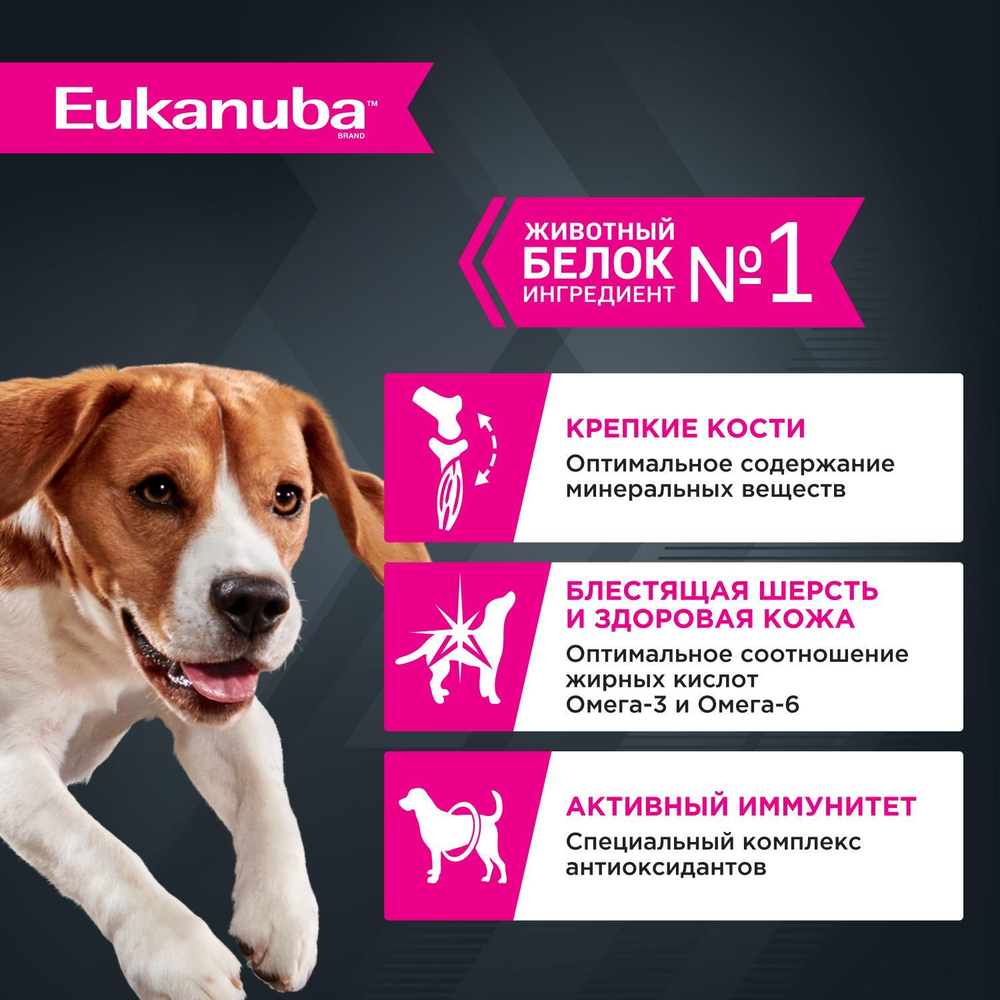 Корм для собак Eukanuba Adult All Breed влажный рацион с ягнёнком в соусе 100г