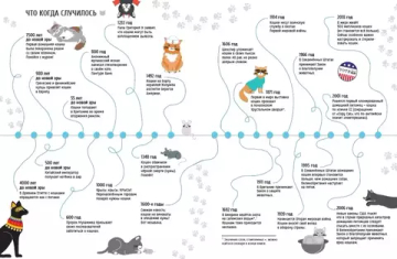 Выдающиеся кошки. Удивительные истории об отважных кошках (non-fiction)