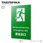 Табличка Запасный выход, на дверь и стену, информационная и мультиязычная (русский, английский, китайский), серия GLOBAL, 25х15 см, Айдентика Технолоджи